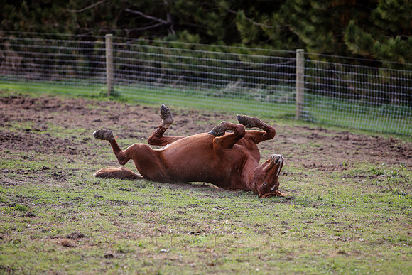 2019-Kathleen-Riley-Photography-7515