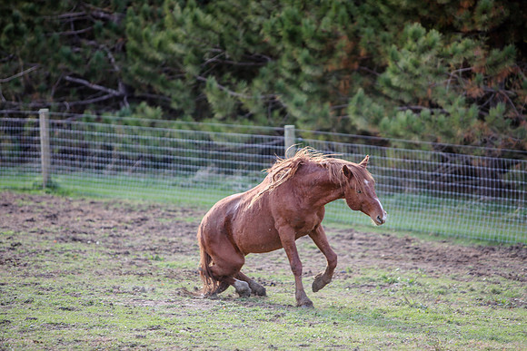 2019-Kathleen-Riley-Photography-7522