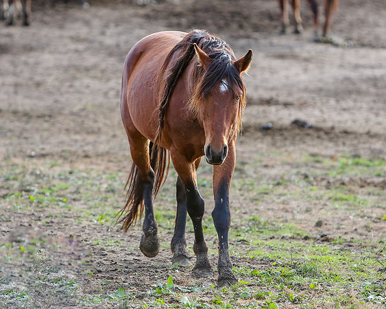 2019-Kathleen-Riley-Photography-7527