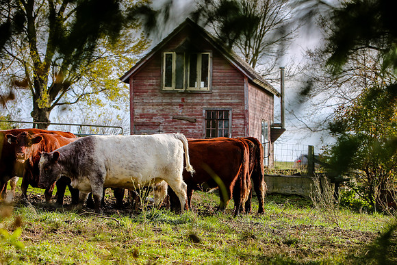 2019-Kathleen-Riley-Photography-7543