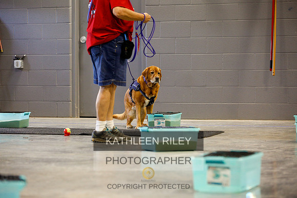 2022-KathleenRileyPhotography-5971