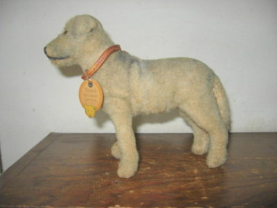 Chinook-Stieff-Standing