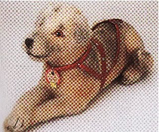 Chinook-Stieff-Lying