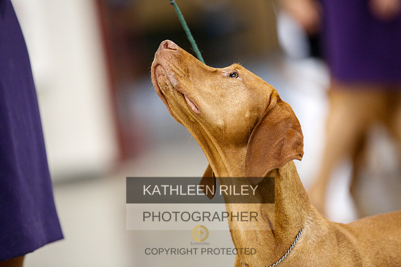2022-KathleenRileyPhotography-2361