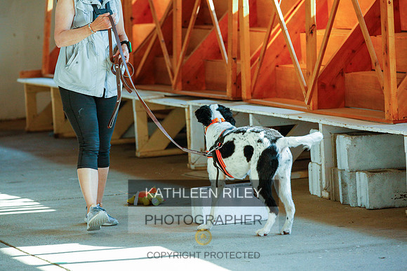 2022-KathleenRileyPhotography-9257