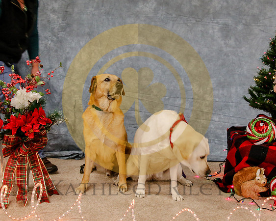 2019-Kathleen-Riley-Photography-7896