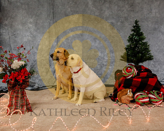 2019-Kathleen-Riley-Photography-7905