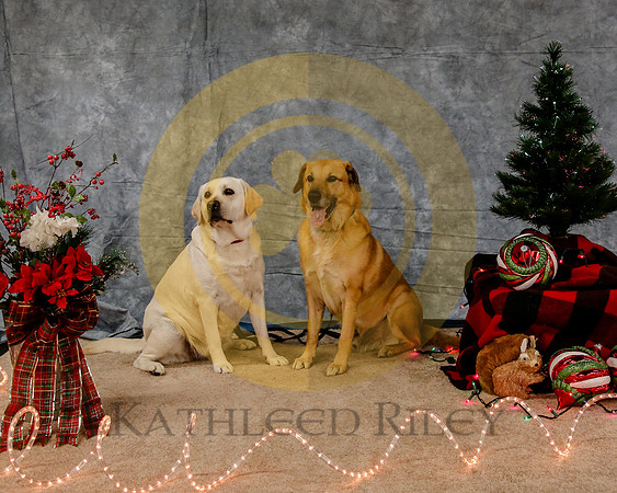 2019-Kathleen-Riley-Photography-7915