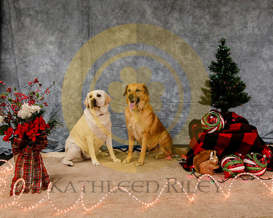 2019-Kathleen-Riley-Photography-7917