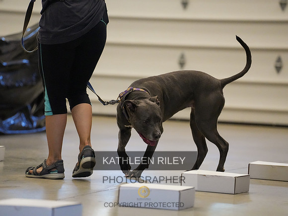 2022-KathleenRileyPhotography-03856