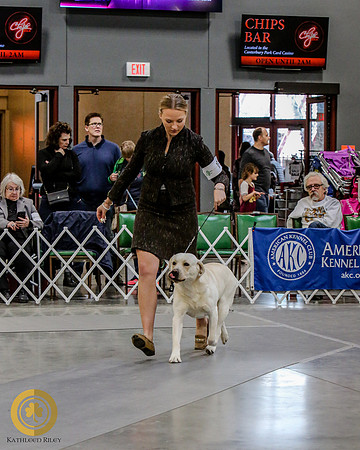 2019-Kathleen-Riley-Photography-9726