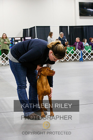 2022-KathleenRileyPhotography-6902