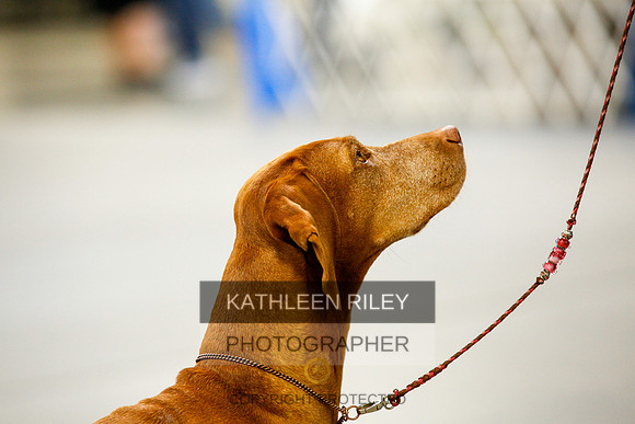 2022-KathleenRileyPhotography-9988
