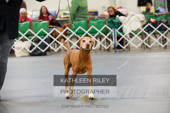 2022-KathleenRileyPhotography-7834