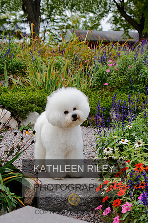 2021-KathleenRileyPhotography-4116