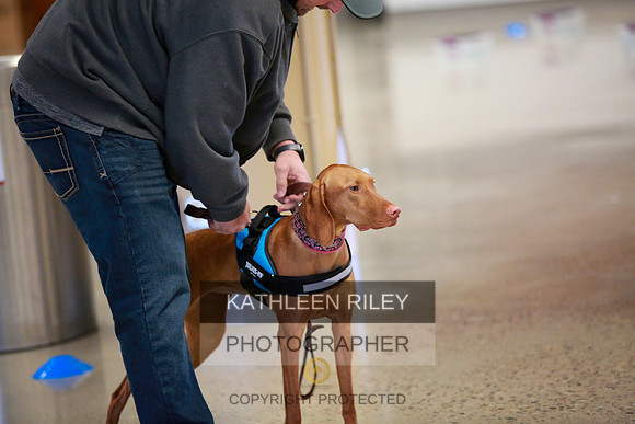 2022-KathleenRileyPhotography-7490
