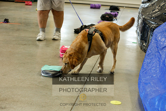 2022-KathleenRileyPhotography-5001