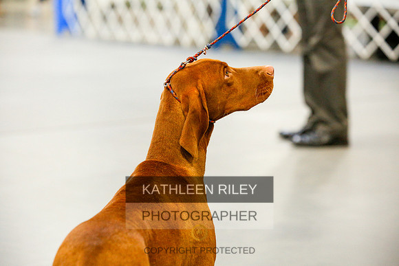 2022-KathleenRileyPhotography-9749