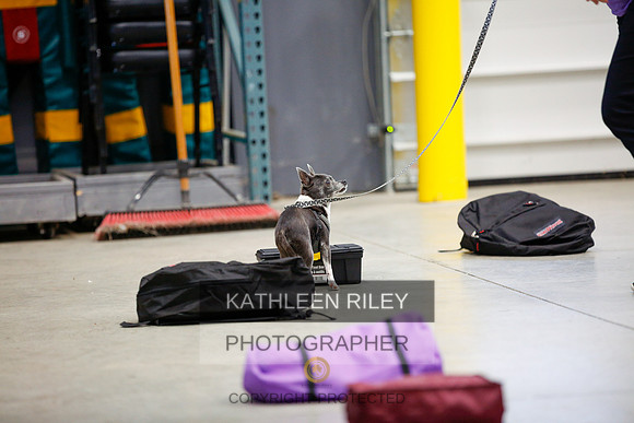 2022-KathleenRileyPhotography-7256