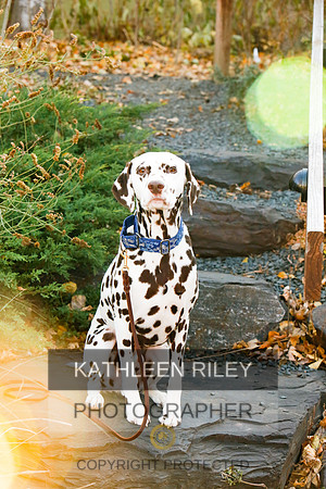 2021-KathleenRileyPhotography-6669