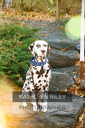 2021-KathleenRileyPhotography-6672