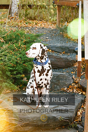2021-KathleenRileyPhotography-6673