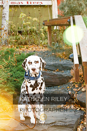 2021-KathleenRileyPhotography-6674