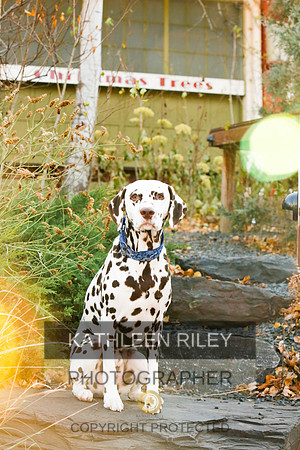 2021-KathleenRileyPhotography-6680