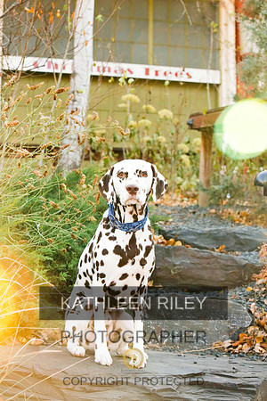 2021-KathleenRileyPhotography-6681