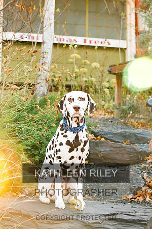 2021-KathleenRileyPhotography-6682