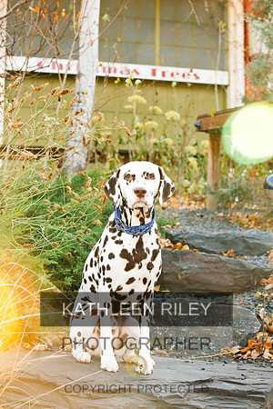 2021-KathleenRileyPhotography-6683