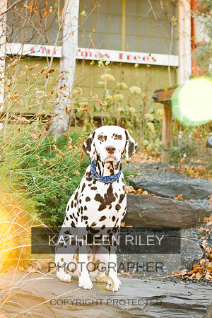 2021-KathleenRileyPhotography-6684