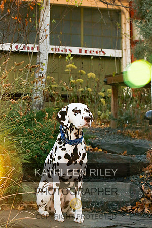 2021-KathleenRileyPhotography-6685