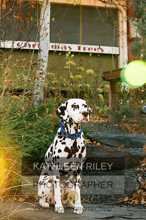 2021-KathleenRileyPhotography-6686
