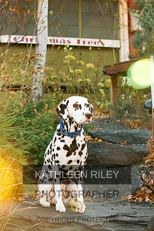 2021-KathleenRileyPhotography-6691