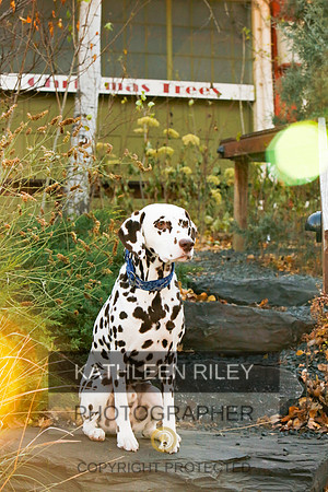 2021-KathleenRileyPhotography-6692