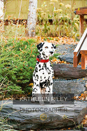2021-KathleenRileyPhotography-6699