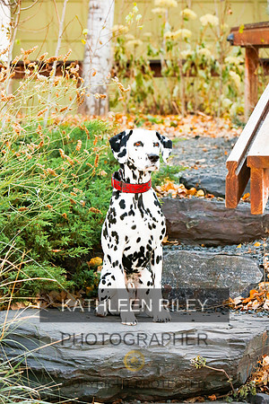 2021-KathleenRileyPhotography-6701