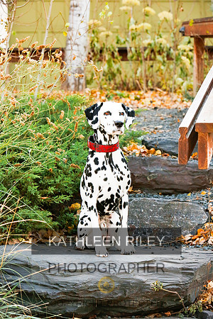 2021-KathleenRileyPhotography-6702