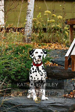 2021-KathleenRileyPhotography-6704