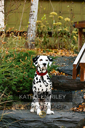 2021-KathleenRileyPhotography-6705