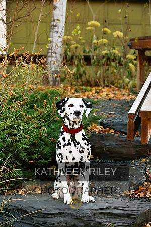 2021-KathleenRileyPhotography-6707