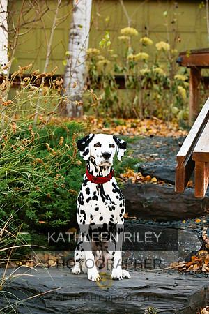 2021-KathleenRileyPhotography-6708
