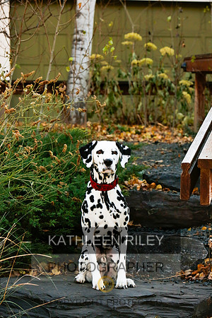 2021-KathleenRileyPhotography-6709