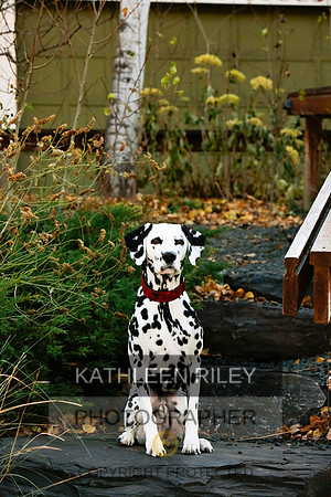 2021-KathleenRileyPhotography-6710