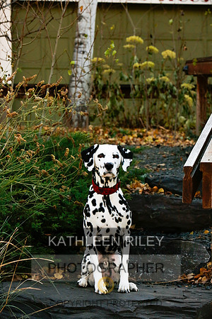 2021-KathleenRileyPhotography-6711