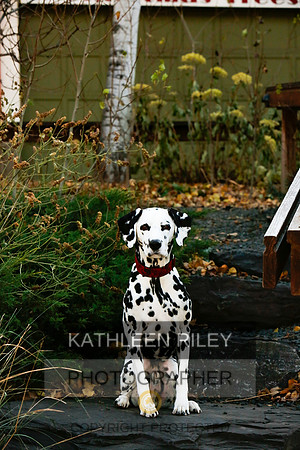 2021-KathleenRileyPhotography-6712