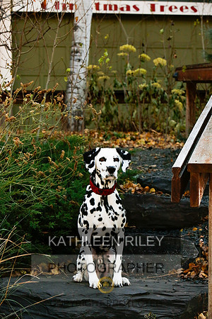 2021-KathleenRileyPhotography-6715