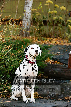 2021-KathleenRileyPhotography-6719