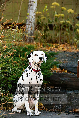 2021-KathleenRileyPhotography-6721